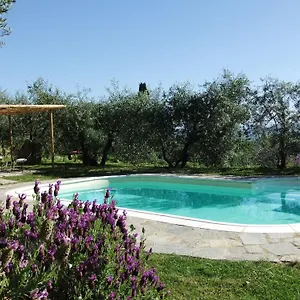 Farma Il Castagnolino, San Gimignano